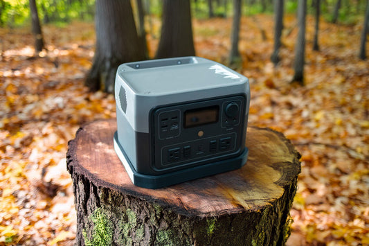 Mount for EcoFlow River 2 Pro / Max