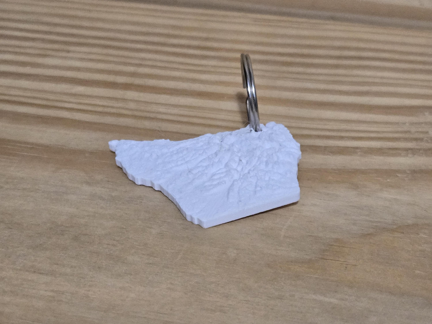 Olympic National Park - 3d Printed Keychain
