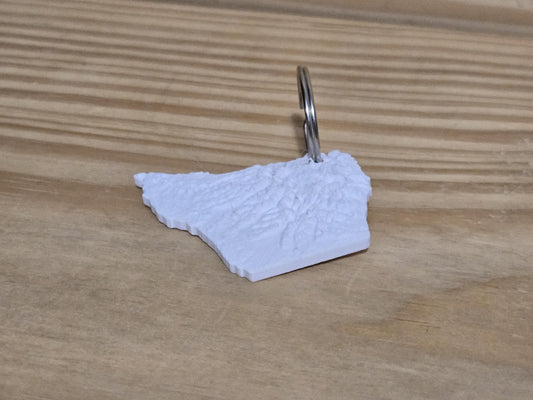 Olympic National Park - 3d Printed Keychain