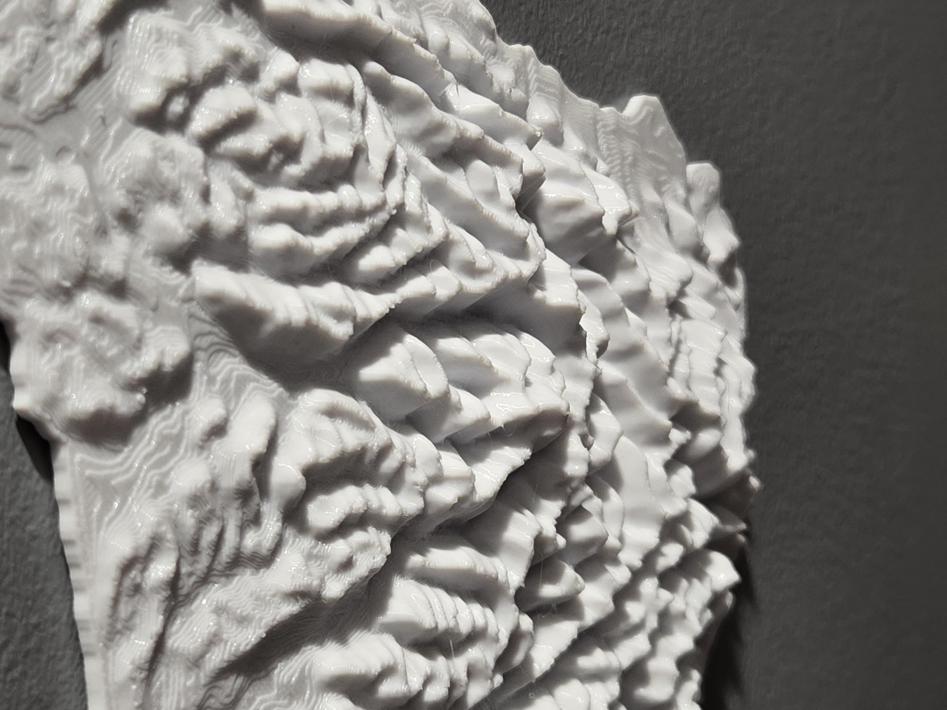 Olympic National Park - 3d Printed Map