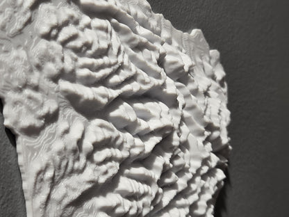 Olympic National Park - 3d Printed Map