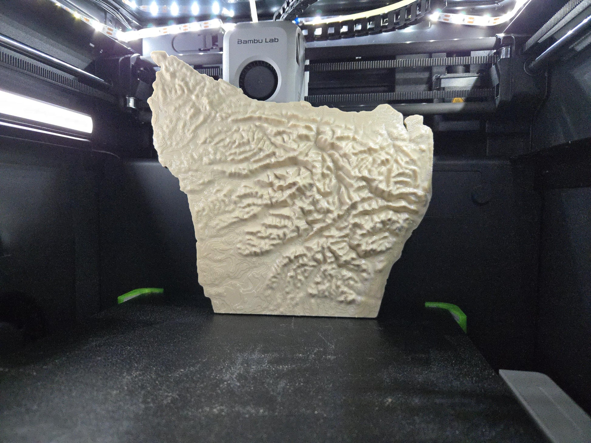 Olympic National Park - 3d Printed Map