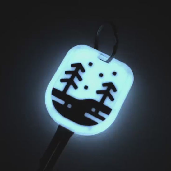 Glow Keyfob for 4Runner | 5th Gen | 2010-2019 | Glow-in-the-dark