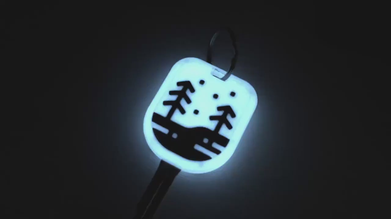 Glow Keyfob for 4Runner | 5th Gen | 2010-2019 | Glow-in-the-dark